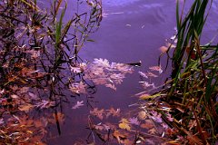 photo 0181
